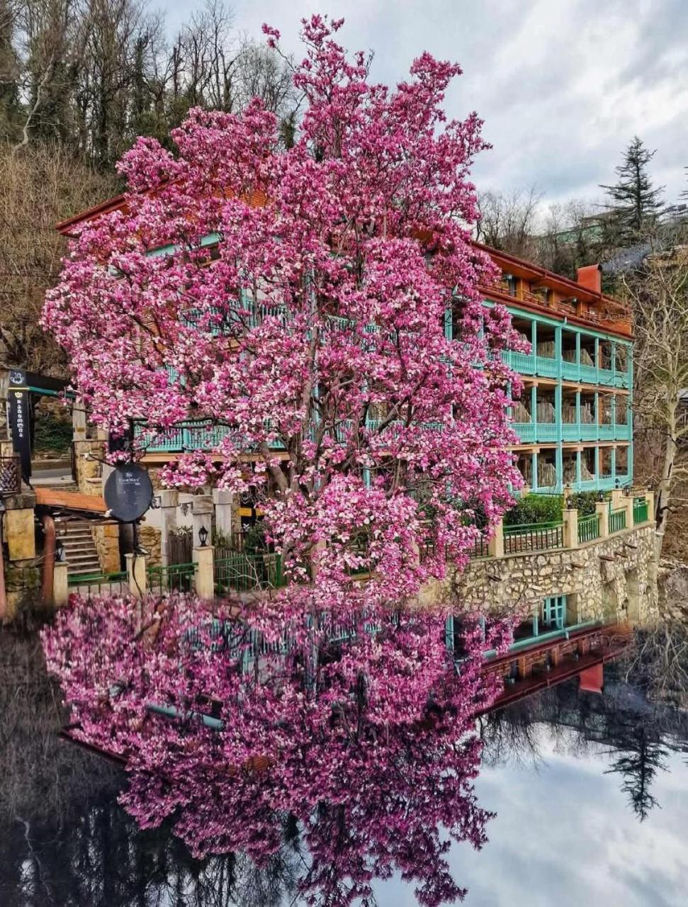 Old Tbilisi Narikala Apartment Екстериор снимка